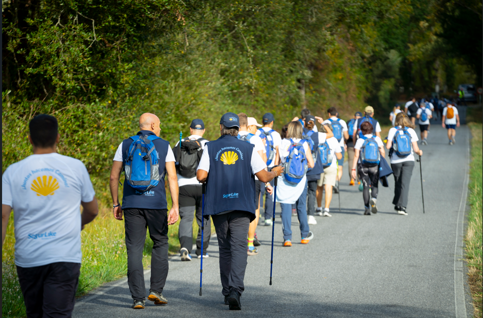 Camino SegurLike Solidario